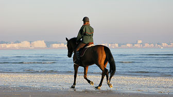 promenade à cheval sur la plage de La Baule
