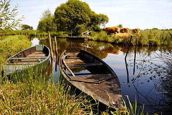 barques du marais de la Grande Brière