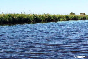 marais de la Brière